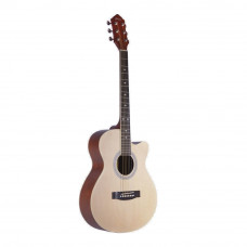 Hertz HZA-4010-NA Acoustic Guitar With Gig Bag