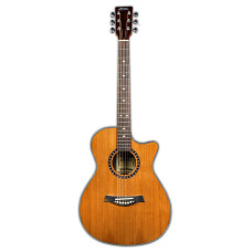 Hertz HZA Premium Acoustic Guitar