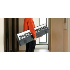 Korg Liano 88 Keys Digital Piano